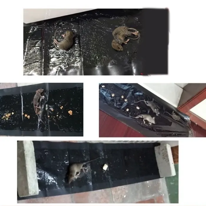 lem tikus2