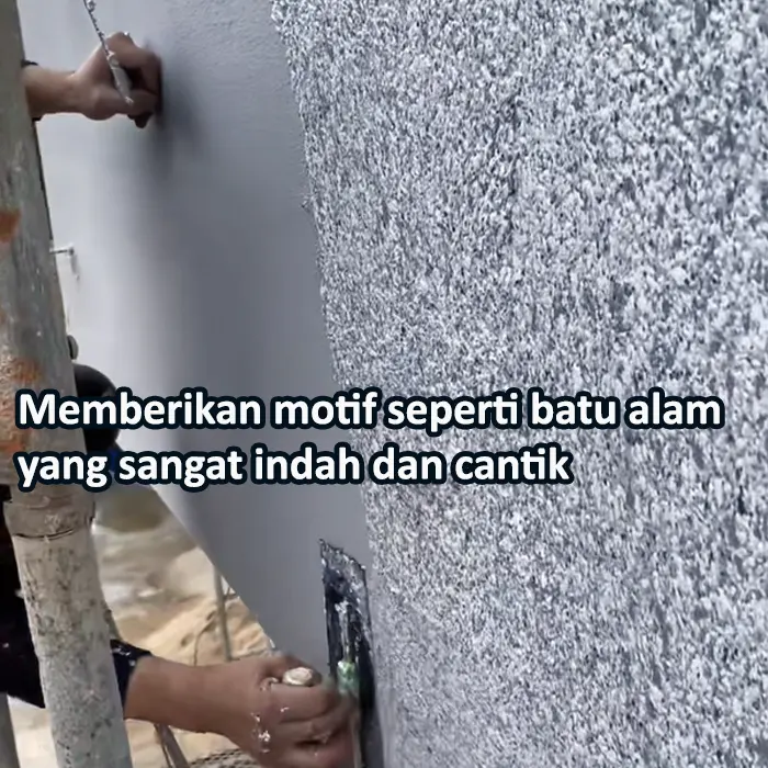 cat motif