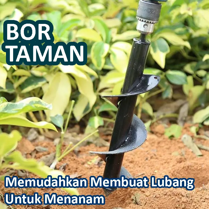 bor taman (2)