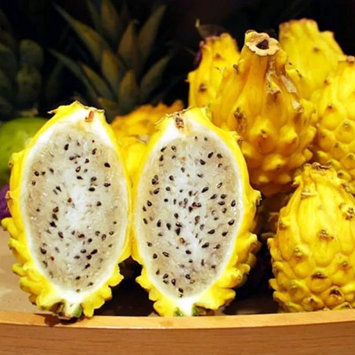 buah naga9
