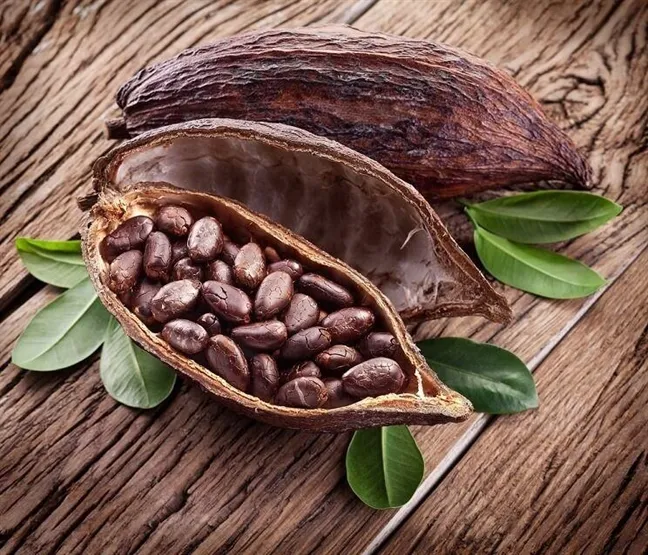 coklat (3)