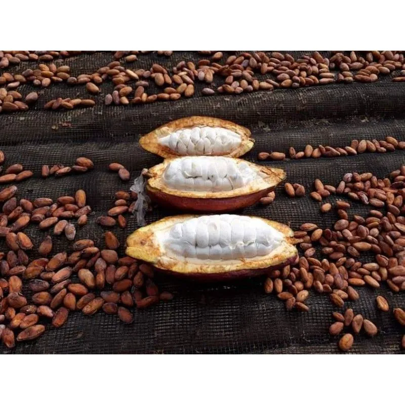 coklat