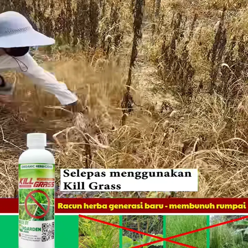 herbisida11