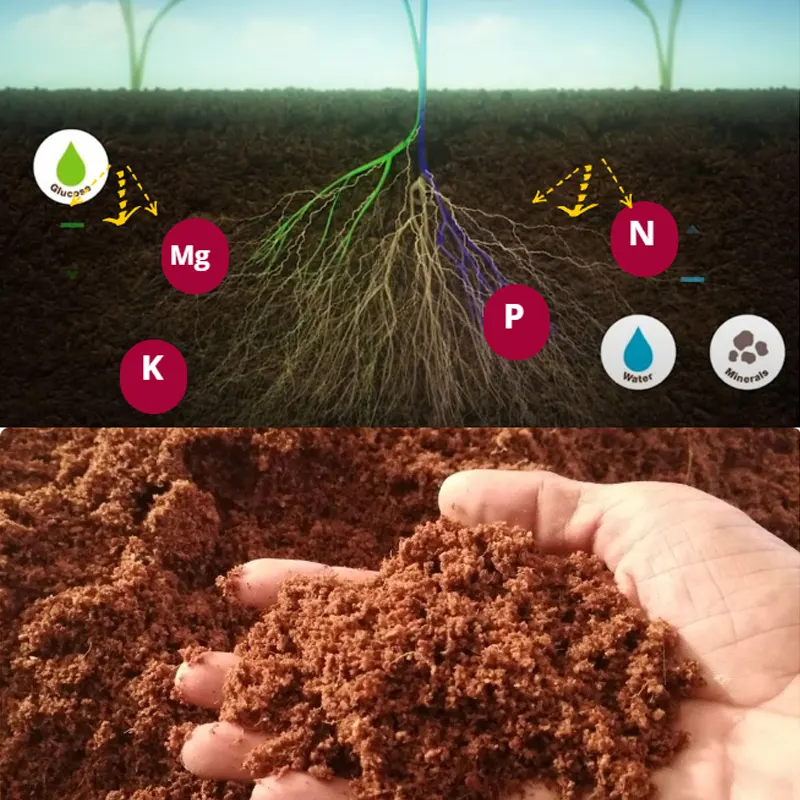 herbisida5