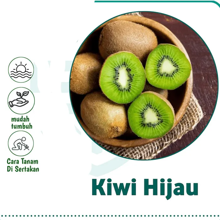 kiwi8