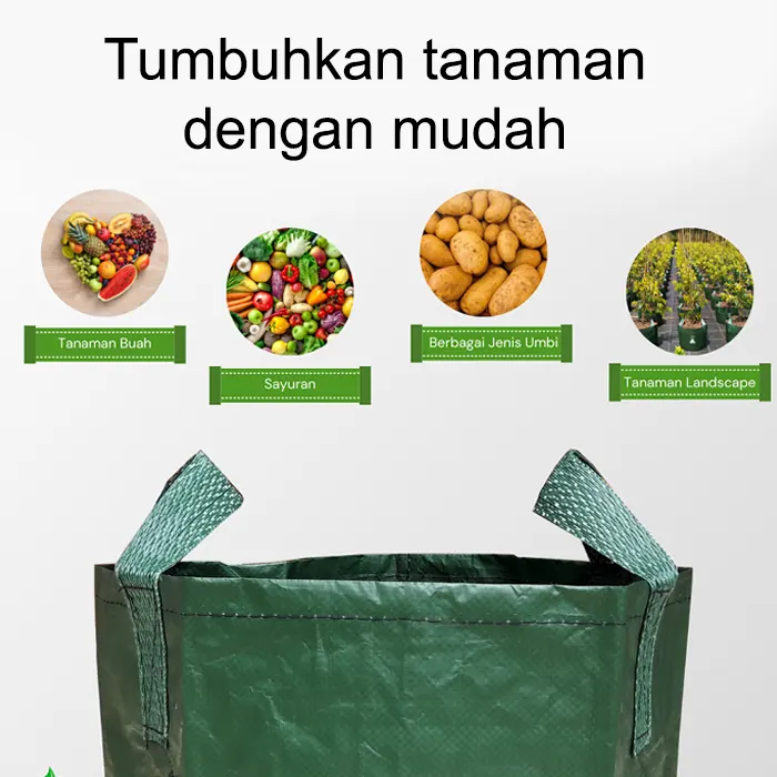 vas growth Tanaman